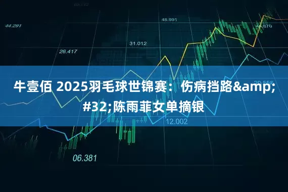 牛壹佰 2025羽毛球世锦赛：伤病挡路 陈雨菲女单摘银